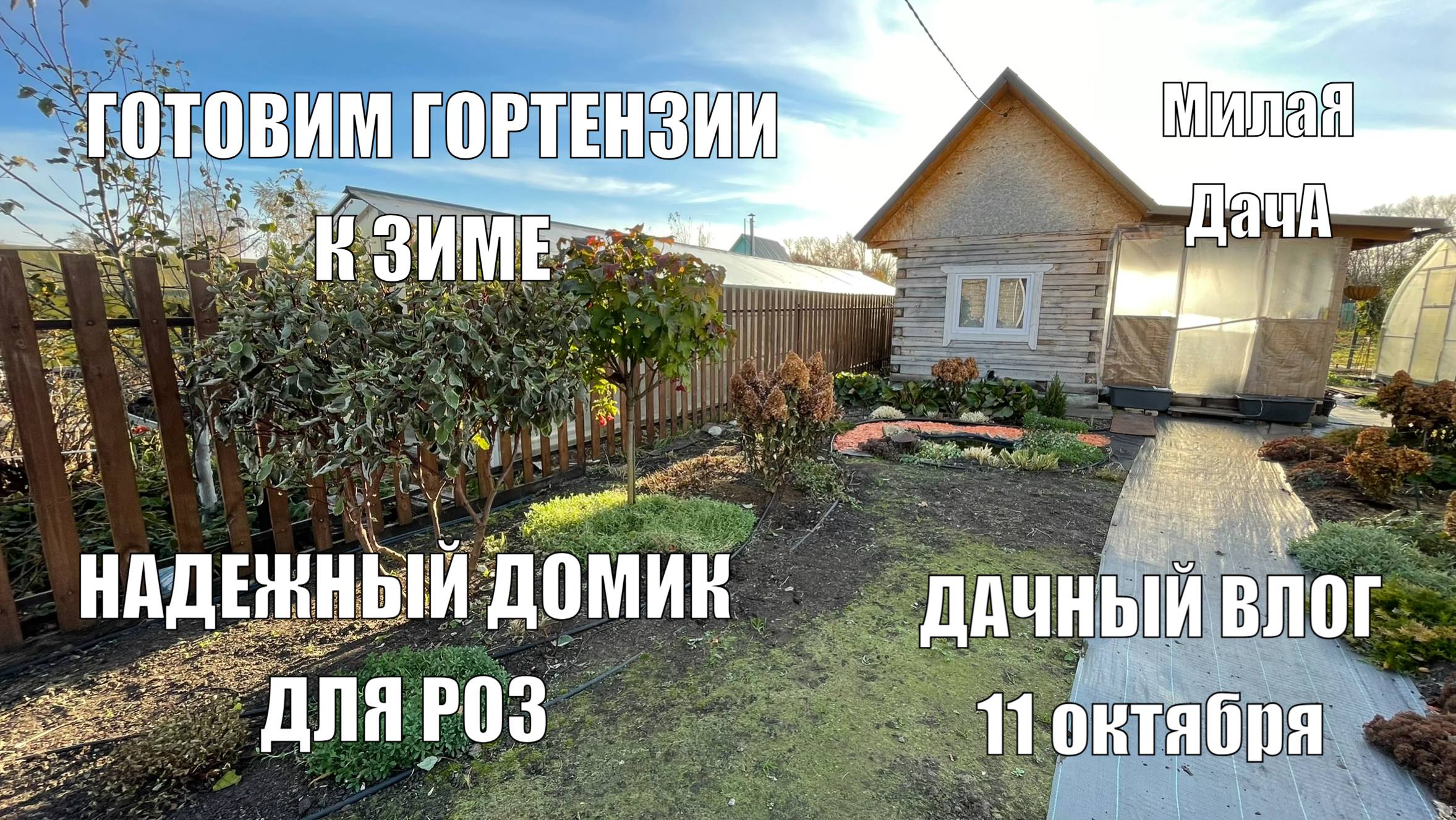 Новый домик для роз | Осенний уход за гортензиями | Влог от 11 октября