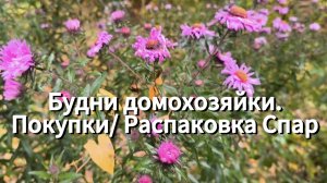 Будни домохозяйки / Покупки, Распаковка Спар