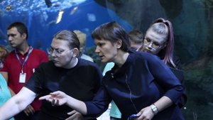 ОкеанариУМные решения