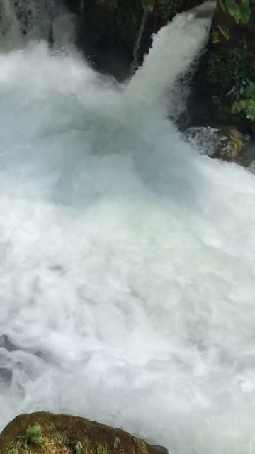 Река Псырцха. Можно смотреть вечно😍