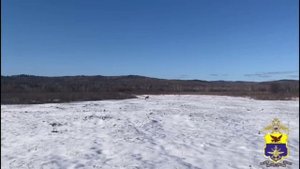 Сотрудники полиции поймали и выпустили косулю в Амурской области