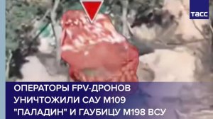 Операторы FPV-дронов уничтожили САУ М109 "Паладин" и гаубицу М198 ВСУ