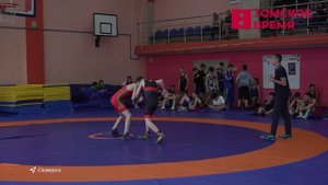 Спорт: самбо, гимнастика, борьба и армрестлинг