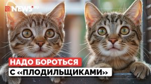 Бурматов предложил бороться с чёрными заводчиками