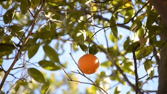 15 октября - Тени силы и разгадайте сокровенное.