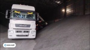 Склад с подсолнечником открывает свои закрома