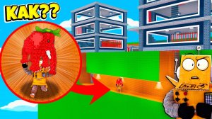 Я НАШЕЛ САМЫЕ СЕКРЕТНЫЕ МЕСТА и ПОЛУЧИЛ ЭТИХ БРЕЙНРОТОВ! Roblox Find the Brainrot