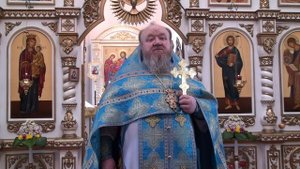 14.10.2025 г. Проповедь протоиерея Сергия Чибисова  Свято-Митрофановский храм село Верхний Мамон.
