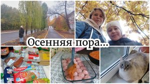 ЖДЕМ ОТКРЫТИЕ МАГАЗИНА 🍂 ПРОГУЛКА // ПОКУПКИ. ТЕФТЕЛИ В НОВОЙ ФОРМЕ // ПРИОБРАЖЕНИЕ КАРТИНЫ 😜