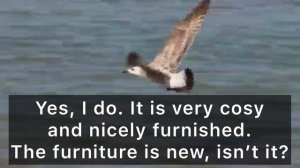 Модуль 4 урок 1