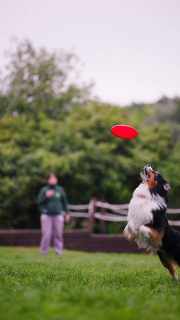 АО Барри - барьер через руку, барьер через ногу, флипы, ловля