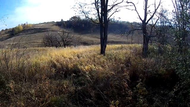 открытие охоты 2019 смотреть онлайн