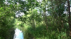 мопед в тайге рыбалка