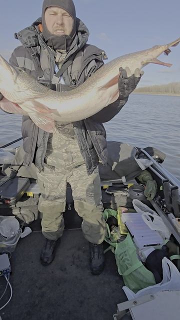 Трофейная щука смотреть онлайн