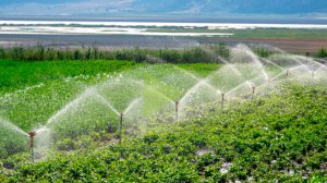 Премьера второй части фильма «Водные ресурсы о запасах воды в Казахстане на телеканале «МИР»