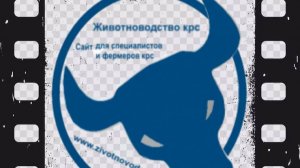 Животноводство крс