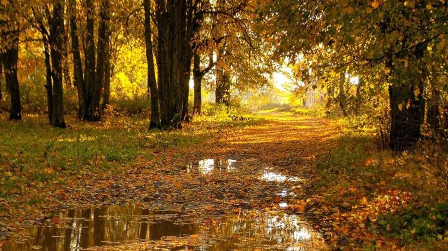 Осень смотреть онлайн