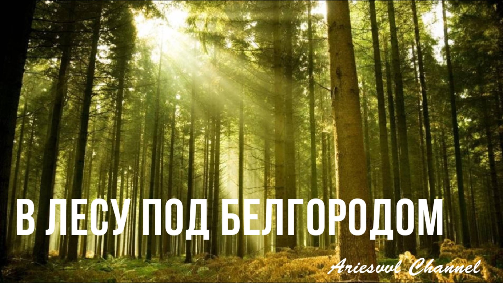 15. В лесу под Белгородом