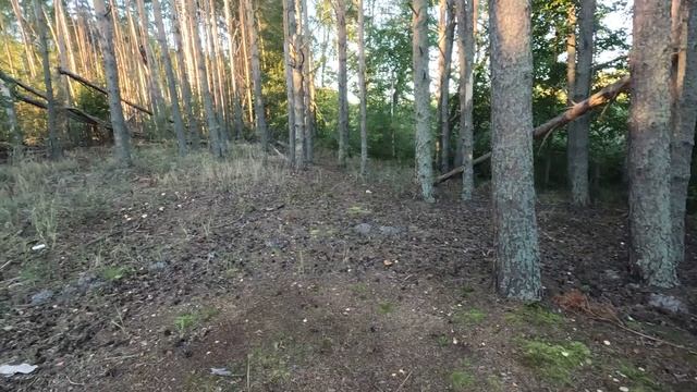 На Нёмду. Часть первая.