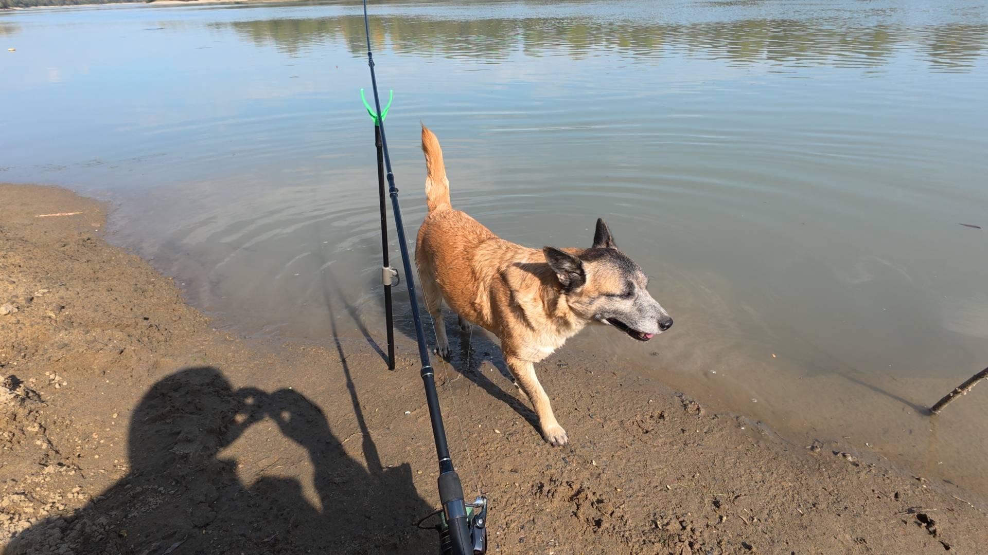 Когда рыбалка пошла не по плану! Плотва пришла на помощь!