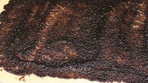 Рулет с маком из дрожжевого теста