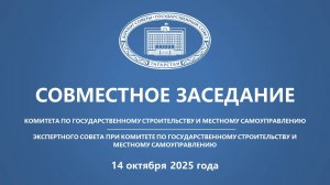 14.10.2025 Заседание Комитета по государственному строительству и местному самоуправлению