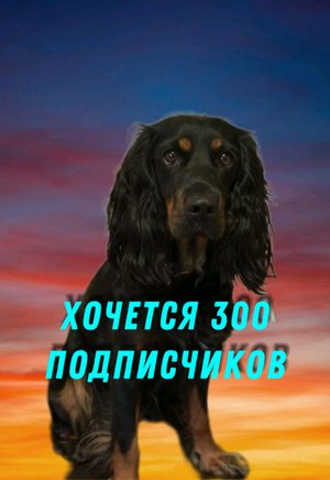 Хочется 300 подписчиков!