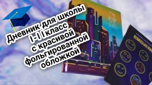 Несколько дневников для школы, 1-11класс, с красивой фольгированной обложкой