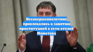 Несовершеннолетние привлекались к занятию проституцией в сети отелей Момотова