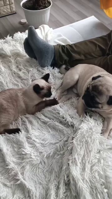 Какая аппетитная