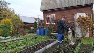 Готовлю землю под огурцы, чеснок. Обрезка ремонтантной малины