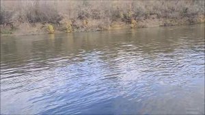 Рыбалка на реке Воронеж, г.Воронеж, 12.10.2025 года