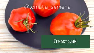 Египетский