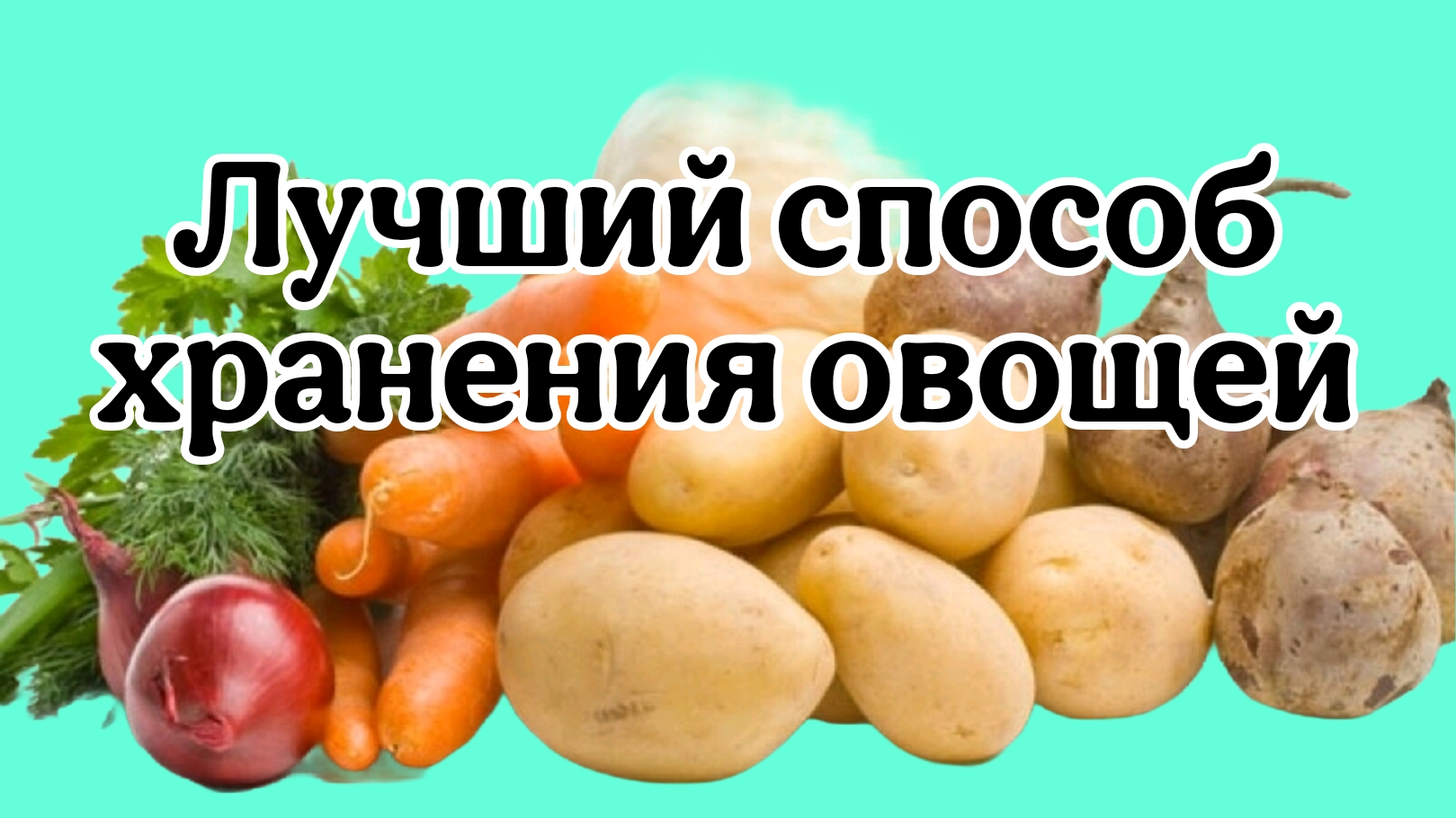 Лучший способ хранения овощей. смотреть онлайн