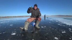Рыбалка по первому льду.