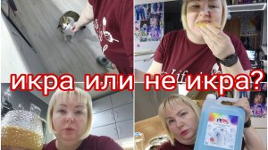 13-10-2025 ПОЛУЧИЛСЯ ВЕСЬ ДНЕВНОЙ РАЦИОН * ПОКУПКИ С OZON * RUTUBE НЕПРИЯТНО УДИВИЛ