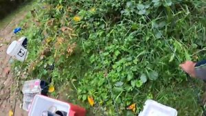 Закрываем сезон рыбалки с Максимом и с Владиславом @ЖивунаЛайте