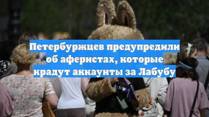 Петербуржцев предупредили об аферистах, которые крадут аккаунты за Лабубу
