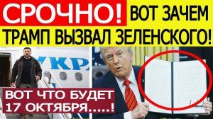 Срочно! Вот зачем Зеленский экстренно летит к Трампу! Раскрыта главная цель визита в США! Новости