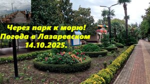 Через парк к морю! Погода в Лазаревском 14.10.2025.