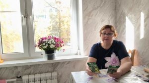 Запасаюсь семенами огуцов.