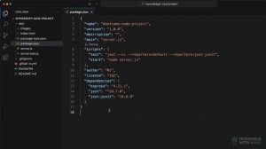 5.1 Demo Overview & Node.js Project Overview (Build a real life CI and CD Pipeline for Node.js Appli