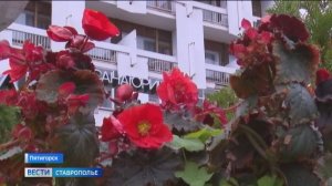 Поток отдыхающих на Ставрополье с каждым годом растет