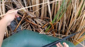 Рыбалка с сыном осенью на щуку ...