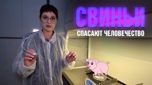 Жидкая кожа и новые зубы. КОД УЧЁНЫХ