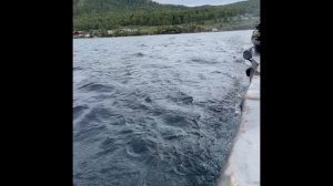 Паром Листвянка Порт Байкал