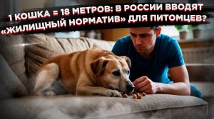 18 квадратов на хвост: в России предложили лимит на домашних животных
