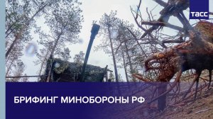 Брифинг Минобороны РФ