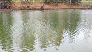 WhatsApp Video 2025-10-14 at 09.28.19