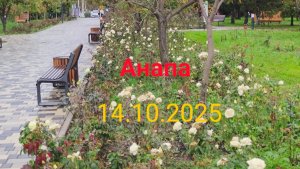 Анапа 14.10.2025